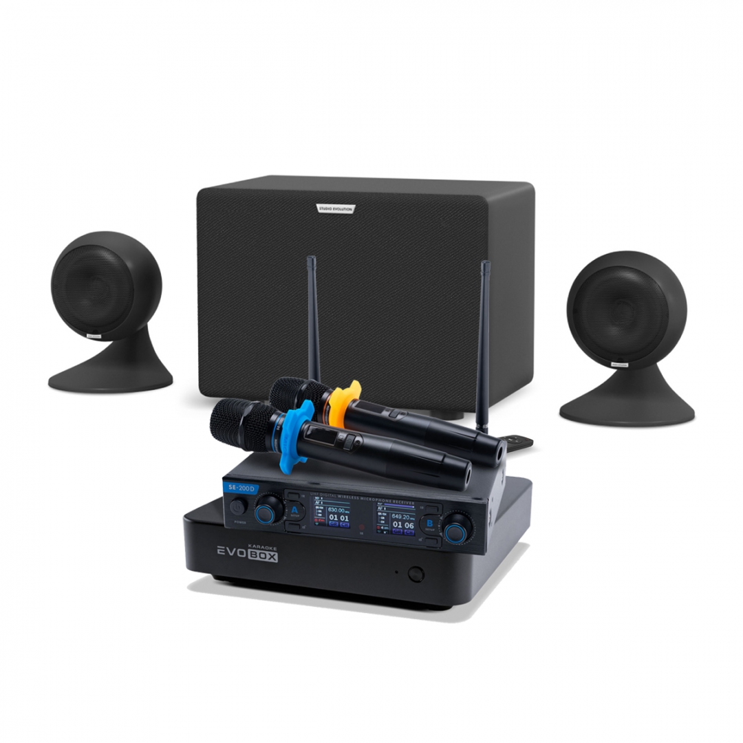 караоке-комплект EVOBOX + EvoSound Sphere 2.1 в Набережных Челнах