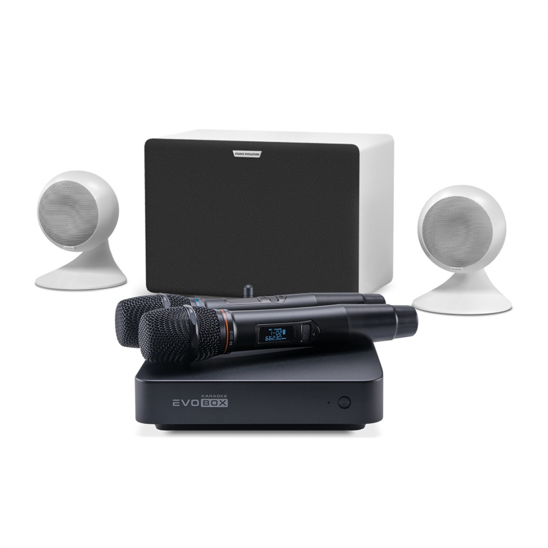 караоке-комплект EVOBOX Classic + EvoSound Sphere 2.1 в Набережных Челнах