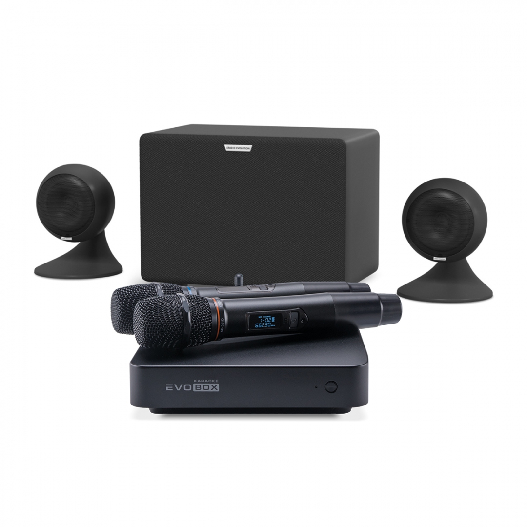 караоке-комплект EVOBOX Plus + EvoSound Sphere 2.1 в Набережных Челнах