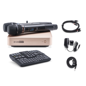 EVOBOX Classic караоке-система для дома в Набережных Челнах