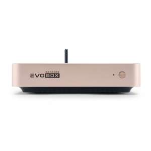 EVOBOX Plus караоке-система для дома в Набережных Челнах