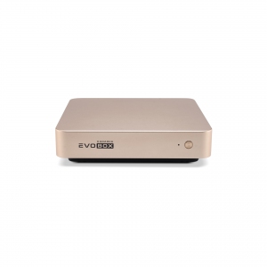EVOBOX с микрофонами в Набережных Челнах
